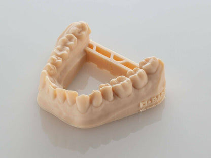 BASF Ultracur3D DM 2505 Dental Model Beige 1kg - 3D Print Monkey - 4065343001400